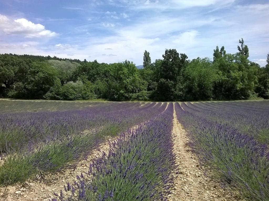 Hotel Sainte Anne "Le Verdon" Les Salles-sur-Verdon Exteriér fotografie